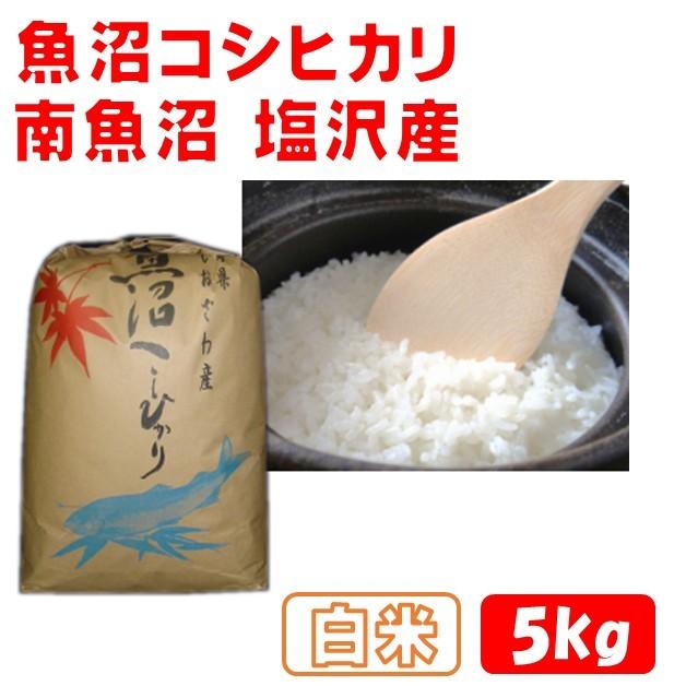 コシヒカリ 魚沼産 2023年産 白米 5kg 南魚沼産 塩沢産 産地直送