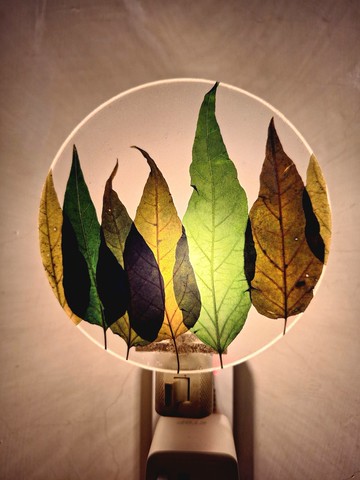 幸福手作押花小夜燈 - 植物小夜燈