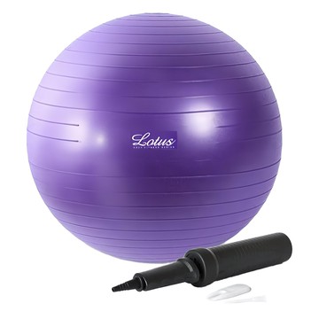 LOTUS 瑜珈球抗力球 65cm 950g  星空紫