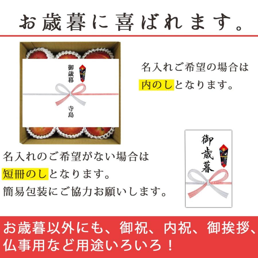 フルーツ りんご 3kg 約12玉 ふじりんご お徳用 12月発送予定 山形県産 送料無料 蜜入り