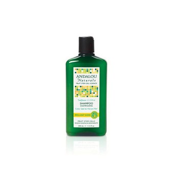 Healthy Shine Shampoo Sunflower and Citrus 11.5 oz by Andalou Naturals