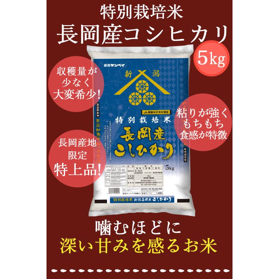 お米 5kg 送料無料 特別栽培米 長岡産コシヒカリ 新潟米 令和４年産  ギフト 内祝い