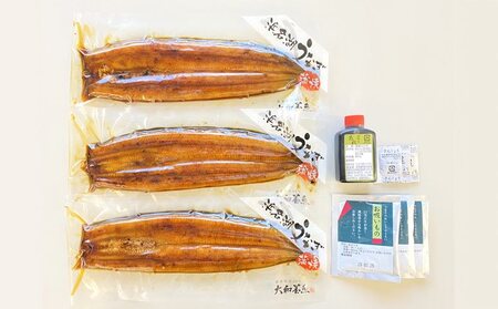 浜名湖うなぎ蒲焼 110g×3尾（計330g） 真空パック 冷蔵 