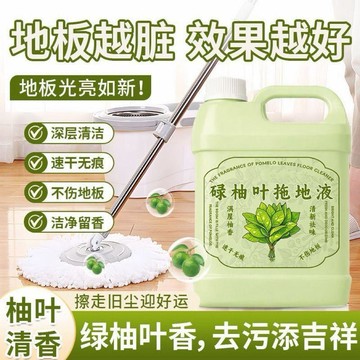 好物分享🍀新鮮柚子葉去晦氣碌柚葉地面清潔劑轉運喬遷新居大掃除拖地留香液OJ
