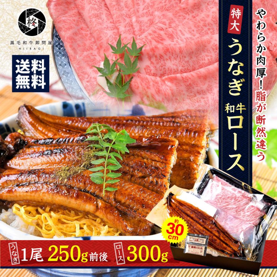 和牛 鰻 セット特大 うなぎ 蒲焼き 1尾と 黒毛和牛 ローススライス 300g 冷凍食品