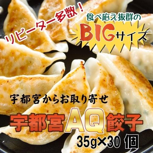 餃子 お取り寄せ 冷凍食品 ぎょうざ ギョーザ ギョウザ 宇都宮 グルメ 人気 ビール お酒 おつまみ とりよせ