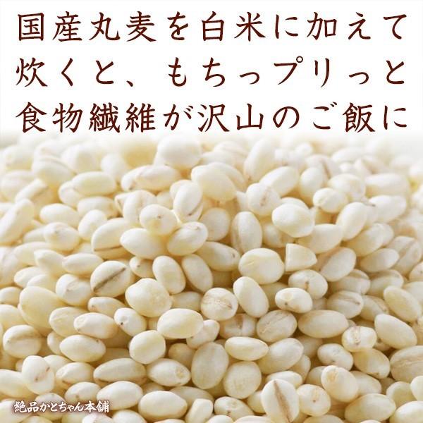 雑穀 雑穀米 国産 丸麦 27kg(450g×60袋) 送料無料 ダイエット食品 置き換えダイエット 雑穀米本舗