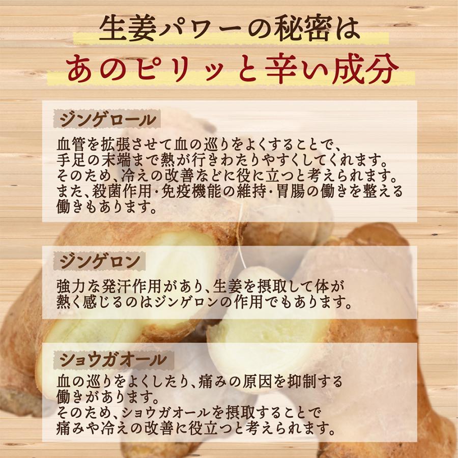 ドライフルーツ 高知県産 生姜糖 500g 送料無料 国産 しょうが ショウガ 生姜 お試し