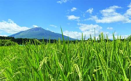  あきたこまち 玄米 5kg ／ 新米 ご飯 産地直送 伊藤家