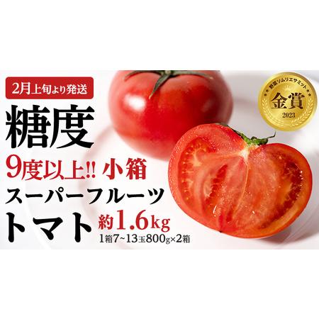 ふるさと納税  スーパーフルーツトマト 小箱 約800g（7〜13玉) × 2箱 糖度9度以上 フルーツトマト トマト とまと.. 茨城県桜川市