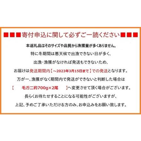 ふるさと納税 富山産　毛がに約900g×1尾（孫七タグ付き） 富山県射水市