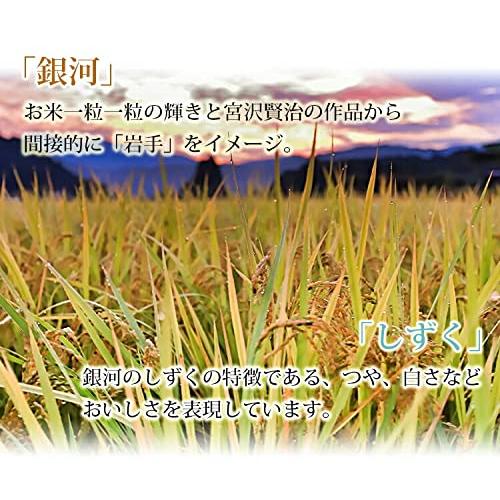 新米 岩手県 銀河のしずく 無洗米 5kg 令和5年産