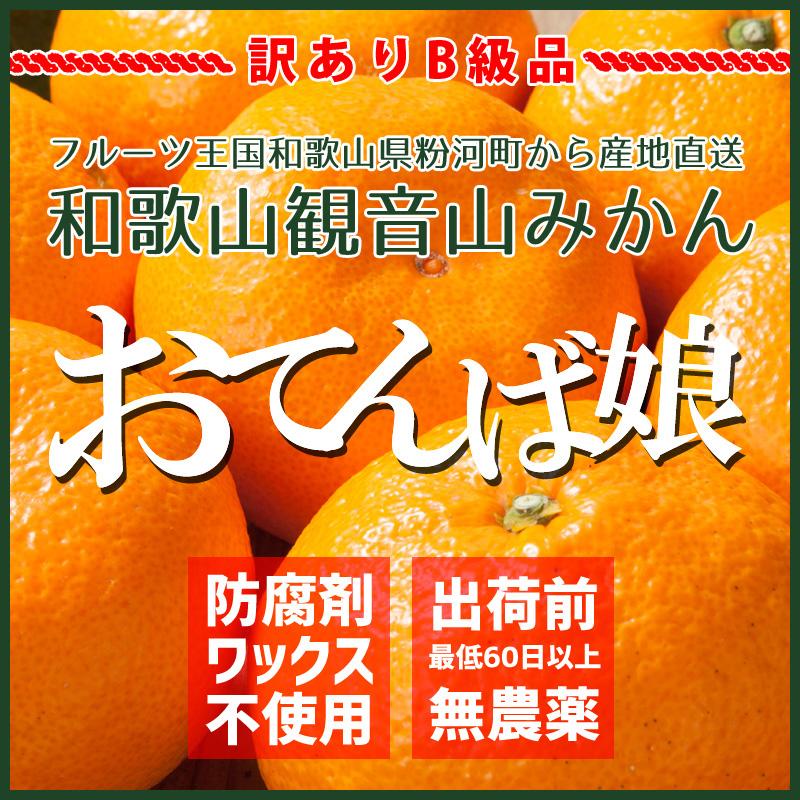 観音山みかん おてんば娘 訳ありB級品 ご家庭用 8kg 和歌山県産温州みかん 観音山フルーツガーデン 送料無料