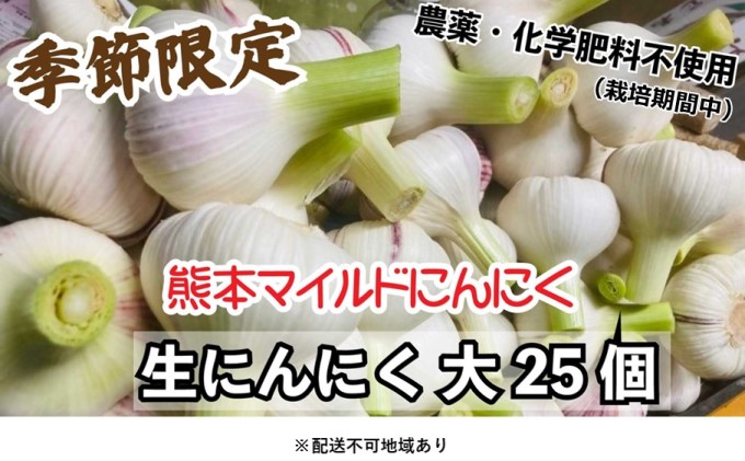 にんにく 2024年 発送 大玉 25個 錦町産 農薬・化学肥料 栽培期間中不使用！ 桑原農園 熊本 マイルド生にんにく 2Lサイズ 7cm以上 配送不可：離島