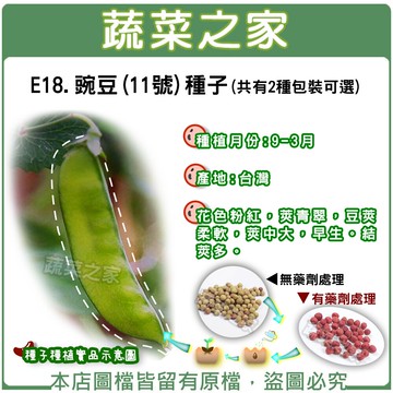 【蔬菜之家】豌豆(11號)種子(荷蘭豆)(共有2種包裝可選)