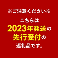 南国フーズの完熟アップルマンゴー 約2Kg