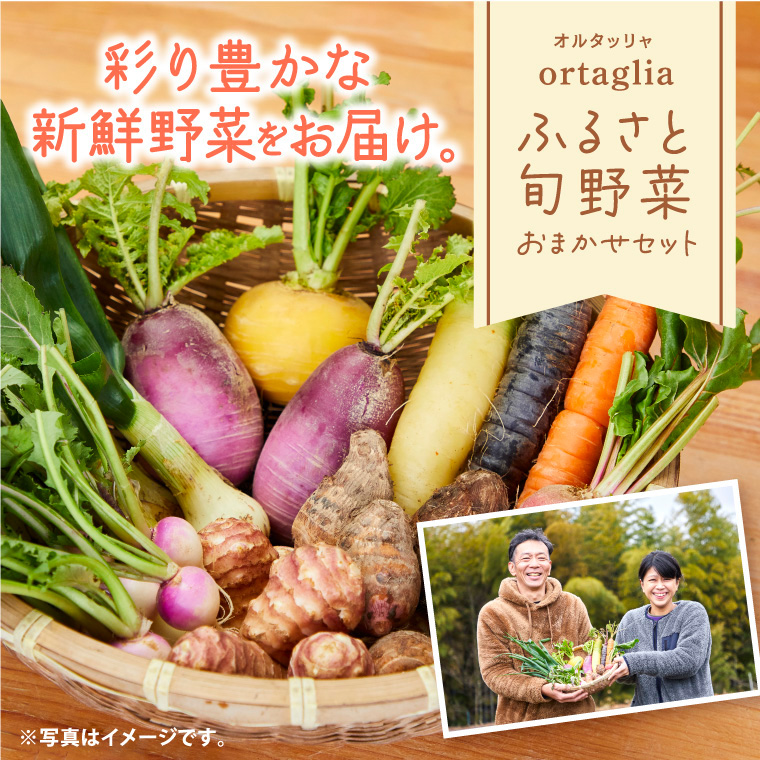 A-229 季節の旬野菜 10品 おまかせセット（農薬・化学肥料不使用）