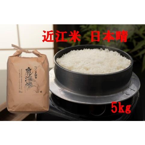 送料無料！令和5年産　「日本晴」　5ｋｇ