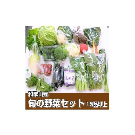 ふるさと納税 和歌山県 御坊市 旬の新鮮野菜セット たっぷり15種以上