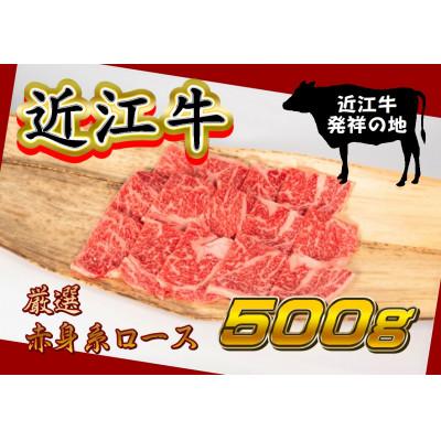 ふるさと納税 竜王町 厳選 近江牛焼肉用 500g ロース 赤身系