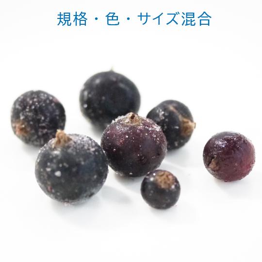 （冷凍）国産冷凍カシス果実（青森産・農薬不使用）約2kg 冷凍フルーツ　2023年新物