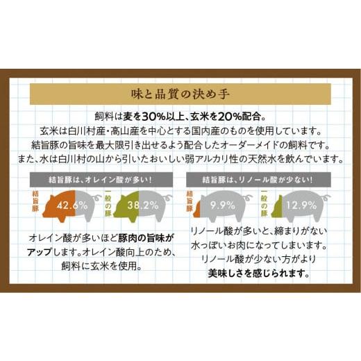 ふるさと納税 岐阜県 白川村 白川郷 結旨豚バラブロック 約1kg 豚肉 国産 白川村 400g〜600g×2 真空パック 小分け 角煮 焼肉 ブランド豚 12000円 抗生物質 合…