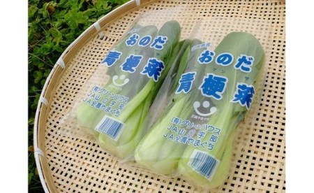 山陽小野田の野菜三昧（冬セット）