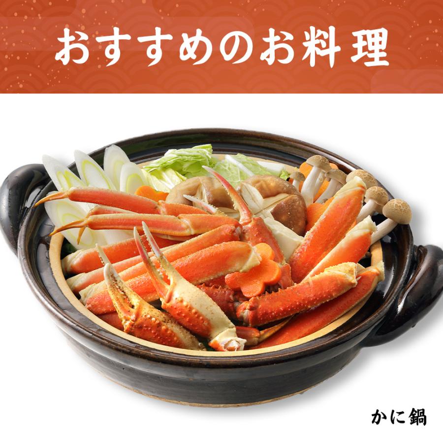 ズワイ ずわい カニ かに 蟹 特大 6L ズワイガニ(バルダイ種) 3kg 肩 脚 ｜ギフト｜蟹｜かに｜生｜高級｜バルダイ種｜特大｜6L｜6肩｜