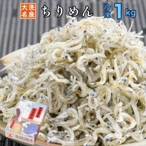 ふるさと納税 ちりめん 1kg ちりめんじゃこ 天然 しらす シラス 魚