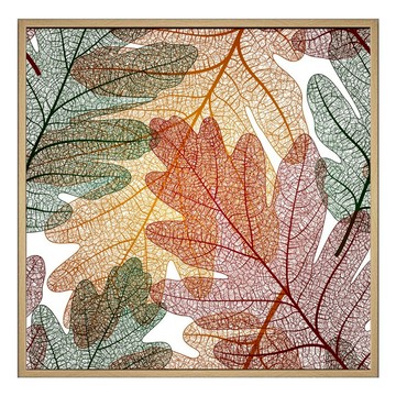 BOLUO GALLERY 菠蘿選畫所 紅楓葉舞 BFWP6622G  60 x 60cm  金色