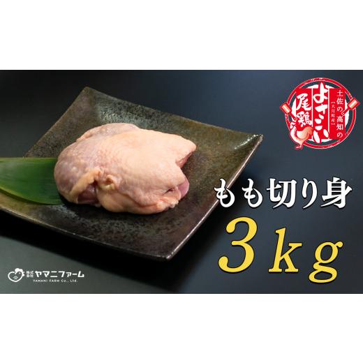 ふるさと納税 高知県 大月町 よさこい尾鶏 もも肉（200ｇ）×15パック