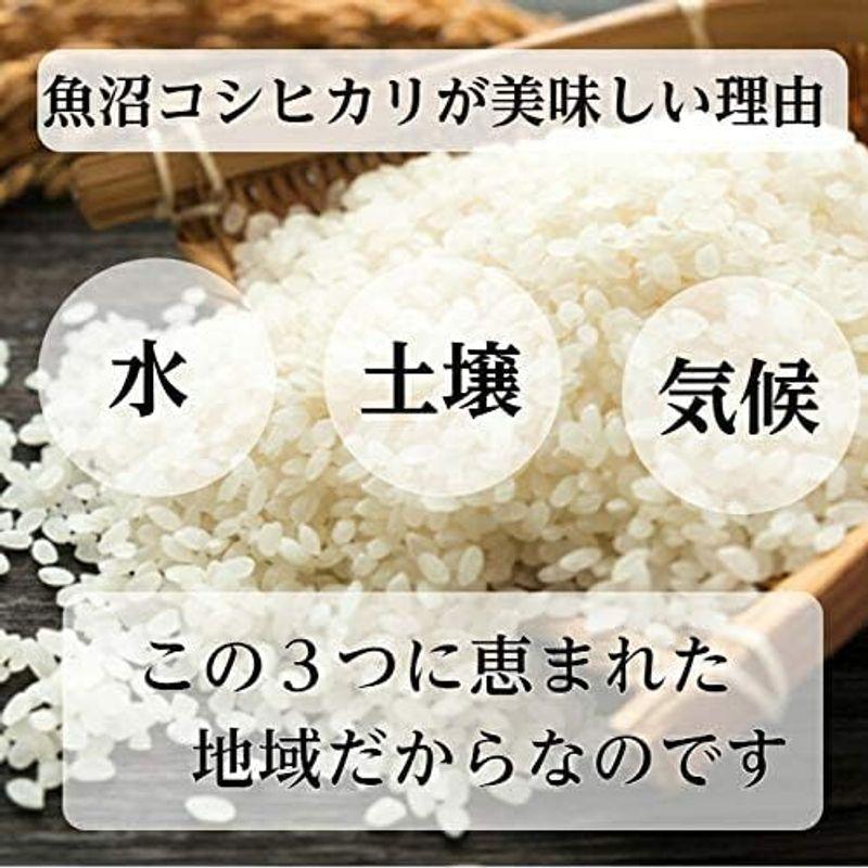 新米 精米 新潟県 魚沼産 コシヒカリ 令和4年産 白米 米 コメ （5?×1袋）