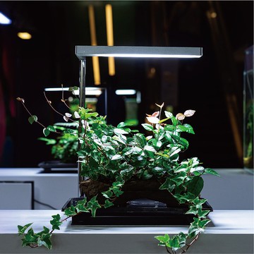 Flat Nano 全光譜LED植物燈 極簡銀 室內植物 辦公室 植栽