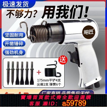 【台灣公司 可打統編】德國進口颶匠多功能氣鏟強力型風鏟風鎬沖擊式除銹機氣動敲打錘鍬