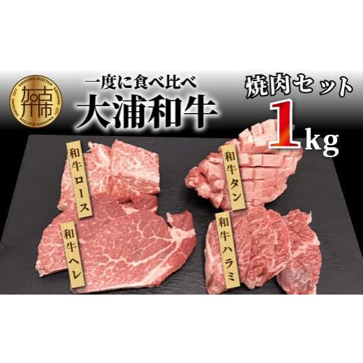 ふるさと納税 兵庫県 加古川市 大浦和牛焼肉セット(1kg)