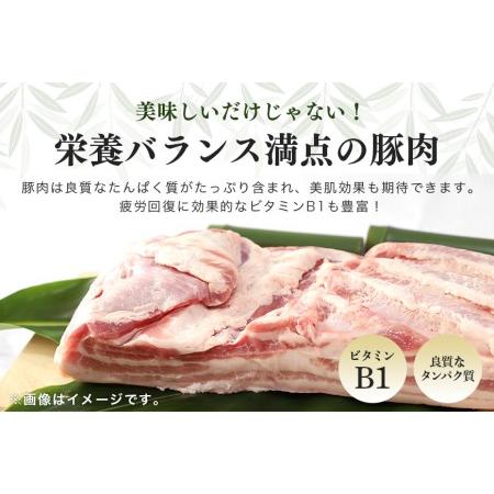 ふるさと納税 ブランド豚「ばんぶぅ」小分け 豚肩ロース焼肉用 1kg（500g×2パック） 冷凍便 1キロ 豚肉 豚ロース 豚肩ローススライス肉 .. 茨城県小美玉市