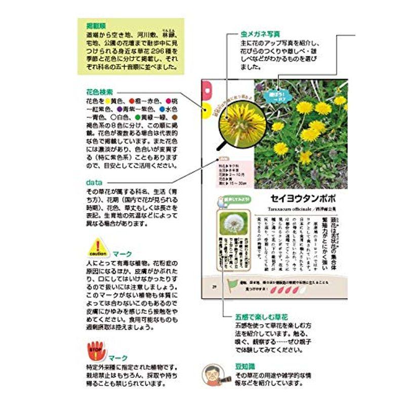 散歩しながら子どもに教えてあげられる草花図鑑