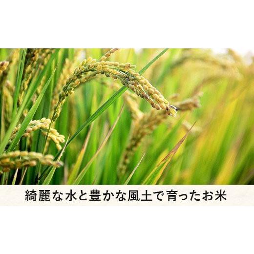 ふるさと納税 長野県 飯綱町 米 無農薬栽培 こしひかり 5kg × 6回 令和5年産 特別栽培米 なかまた農園 2023年10月上旬頃から順次発送…