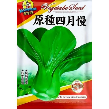 【原廠包裝】四月慢種子 慢抽薹甜白菜 台灣冬季必種青菜 耐寒不易開花 肉厚清甜少筋 家庭有機蔬菜 陽台盆栽 新手友善