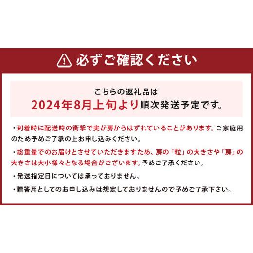 ふるさと納税 長崎県 時津町  訳あり ご家庭用 シャインマスカット 3パック 約1kg ぶどう