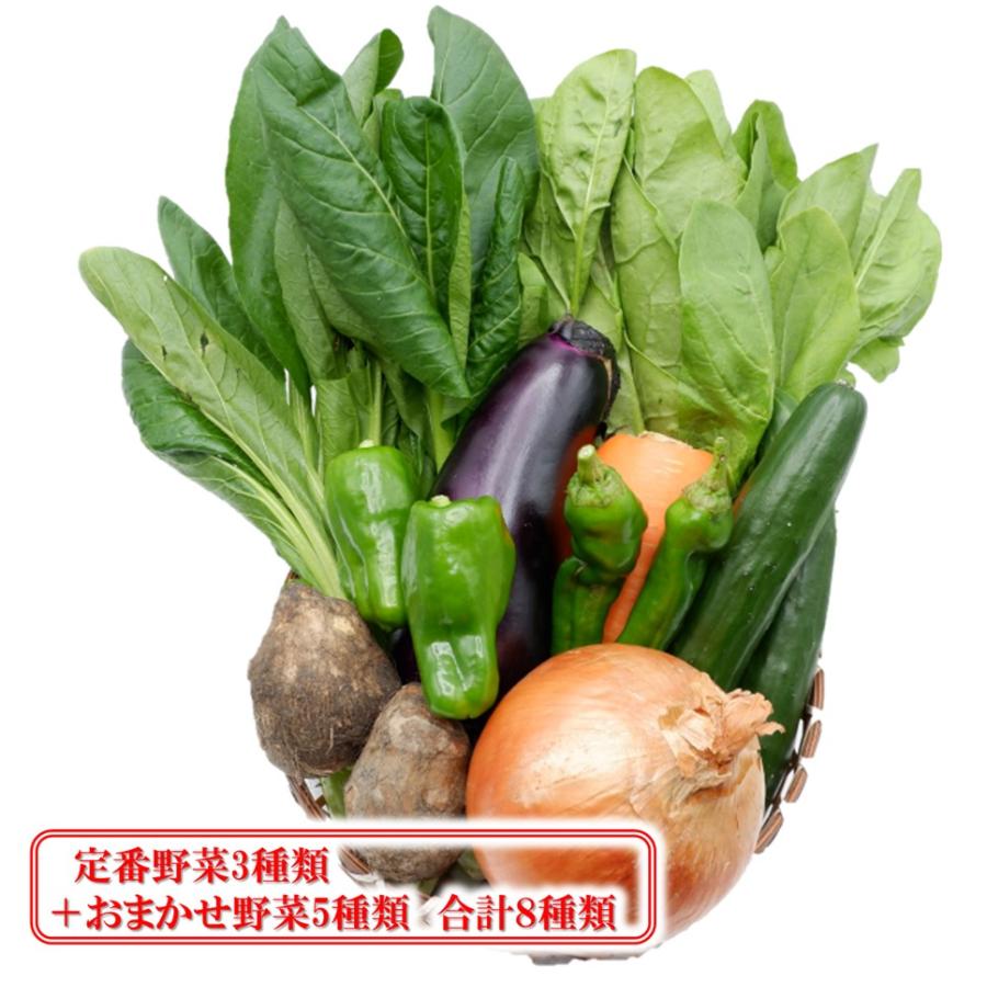 奈良野菜８種セット 奈良県産