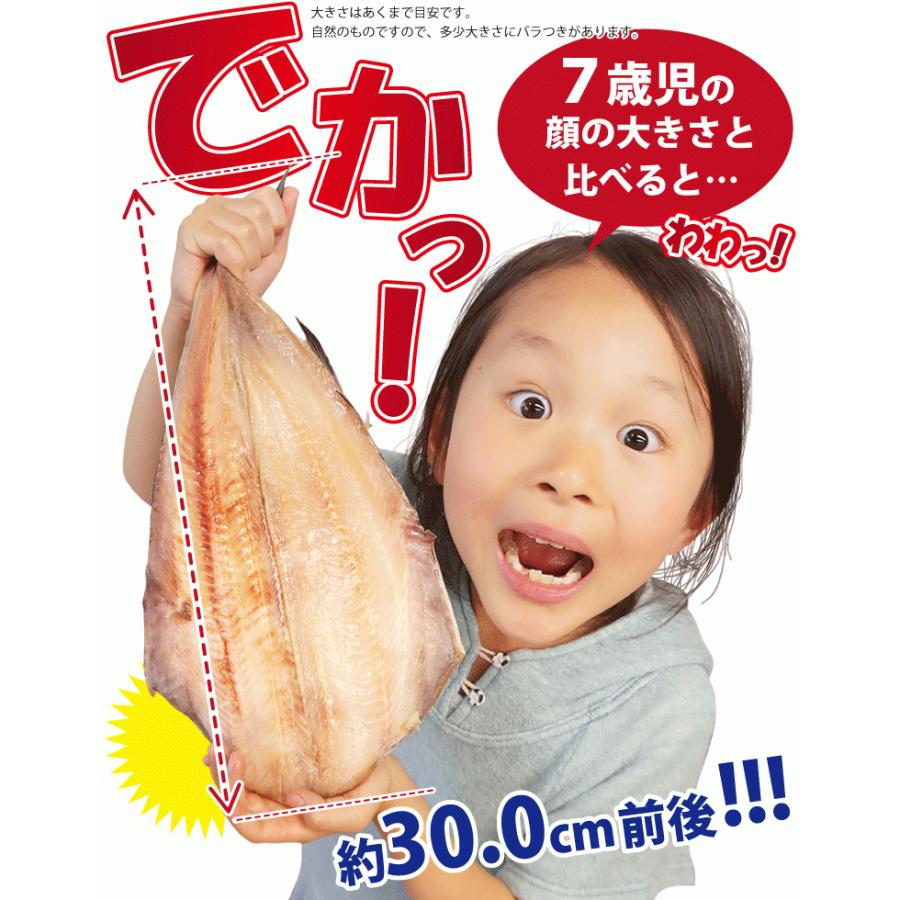 縞ホッケ 干物 ほっけ 特大 約400g×5尾 しまほっけ ホッケ ホッケ干物 シマホッケ 干物セット 真空パック 一夜干し 一夜干し魚 一夜干しセット ((冷凍))