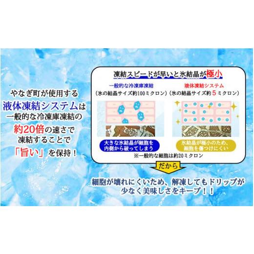 ふるさと納税 福井県 福井市 老舗日本料理店が作る「福井名物 焼さば寿司」 3本 [B-085004]