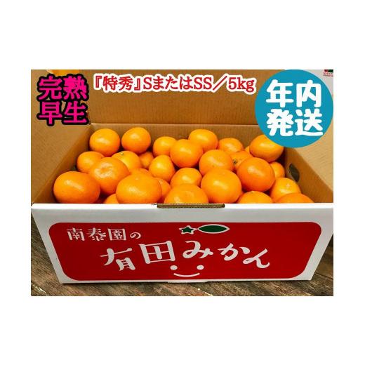 ふるさと納税 和歌山県 有田川町 年内発送 完熟早生 有田みかん 特秀 S または SS サイズ 5kg