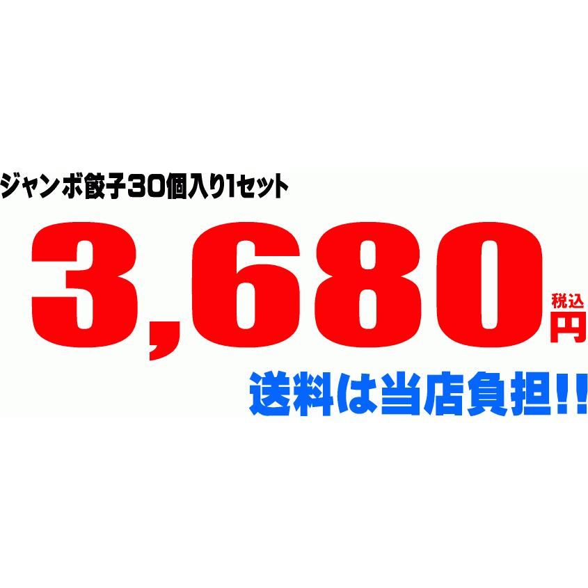 ジャンボ餃子 30個 国産豚 国産野菜 1.2キロ 送料無料