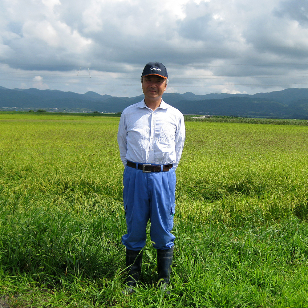 北海道産[ゆめぴりか]＆新潟県産[コシヒカリ] 食べ比べセット 玄米