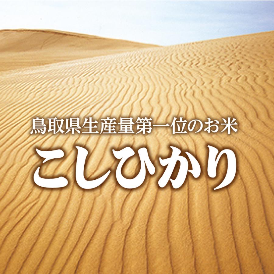 新米 令和5年産 こしひかり 鳥取県産 5kg お米 コシヒカリ 米 お米 白米 R5