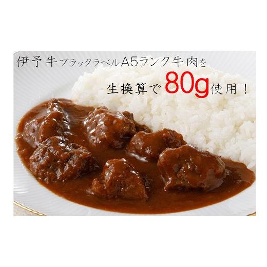 ふるさと納税 愛媛県 西予市 ご当地カレー「伊予牛Ａ５ビーフカレー」