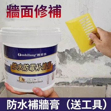 牆面修補膏 防水防潮 補牆膏 補土 壁癌 牆壁修補膏 牆壁防水塗料 防霉批土漆 補漏王 批土 補牆膏 試用裝600g