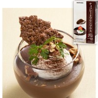  MORIYAMA）チョコレートプリンプラス 551G 常温